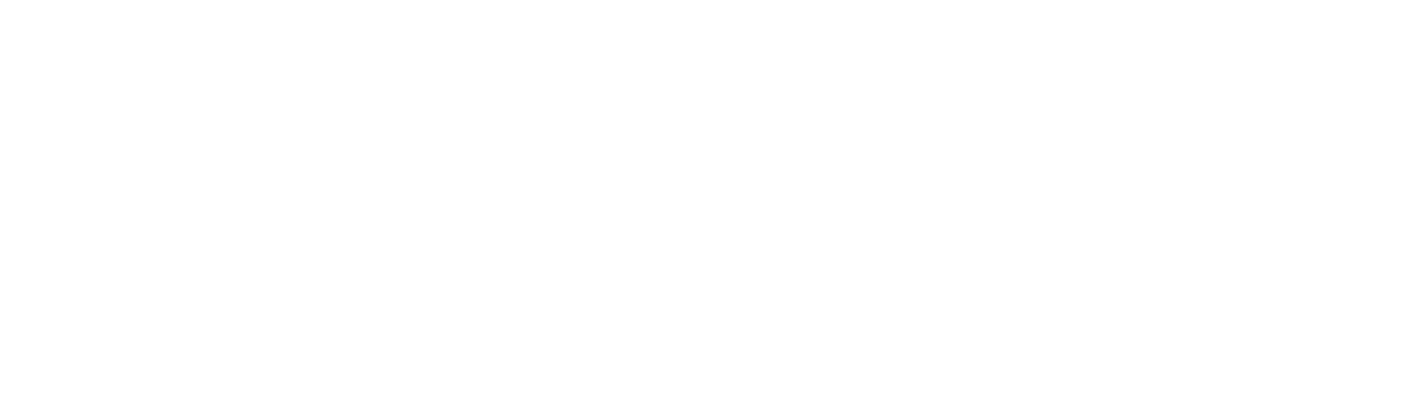 Bruma Experience